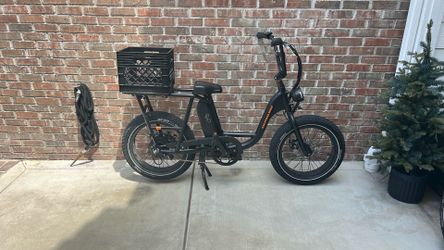 RadRunner 2 E Bike  2024