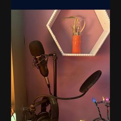Mic Set