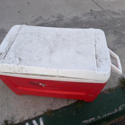 Cooler