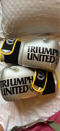 Kick boxing gloves