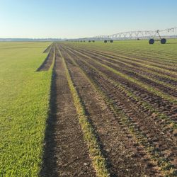 San Agustin Fall Special 🚨