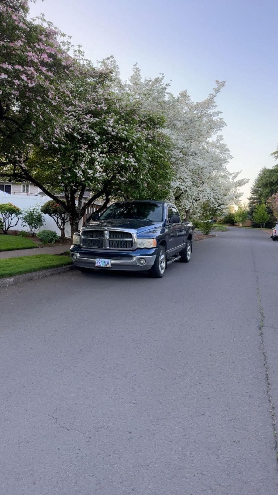 2002 Dodge Ram 1500