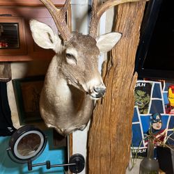 Wall Decoration Deer