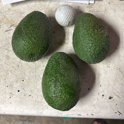 Aguacates Has $10 La Dozens