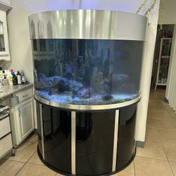 150 gallon Half cylinder fish tank 