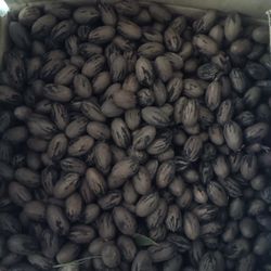 Se Venden Nuez  2 Libras Po $5 Dolares