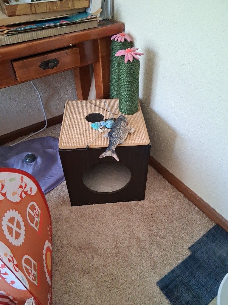 Cat House