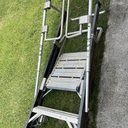 Ladder Small 5 Ft