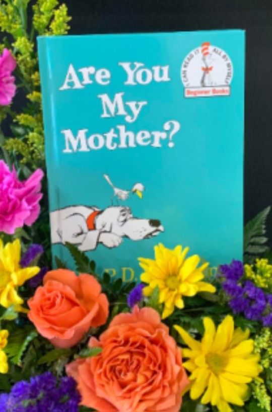 Are You My Mother? Dr. Seuss Hardcover