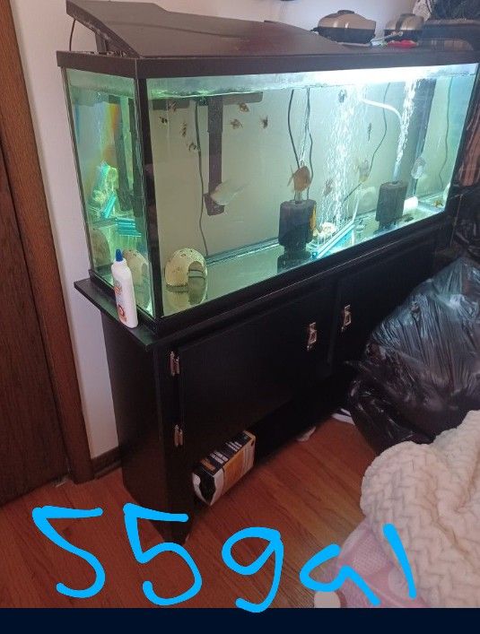 Fish Tanks