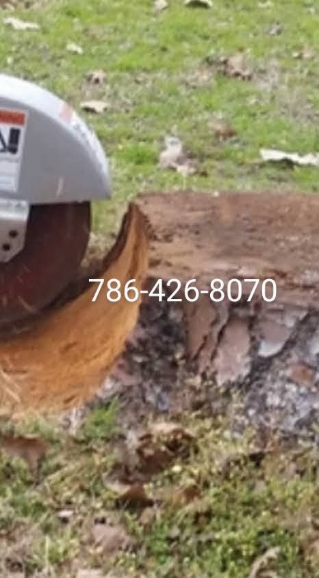 Stump Grinding Tree Trimming 