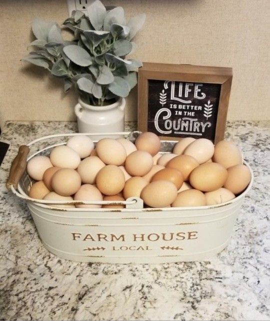 Fresh Farm 🥚