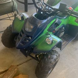 2020 Taotao 110cc
