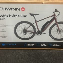 Schwinn E-bike