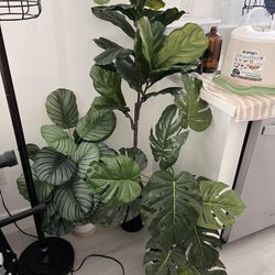 Faux House Plants