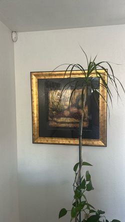 Wall art pictures and metal decor