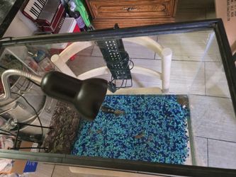 Tank With 2 Little Ones