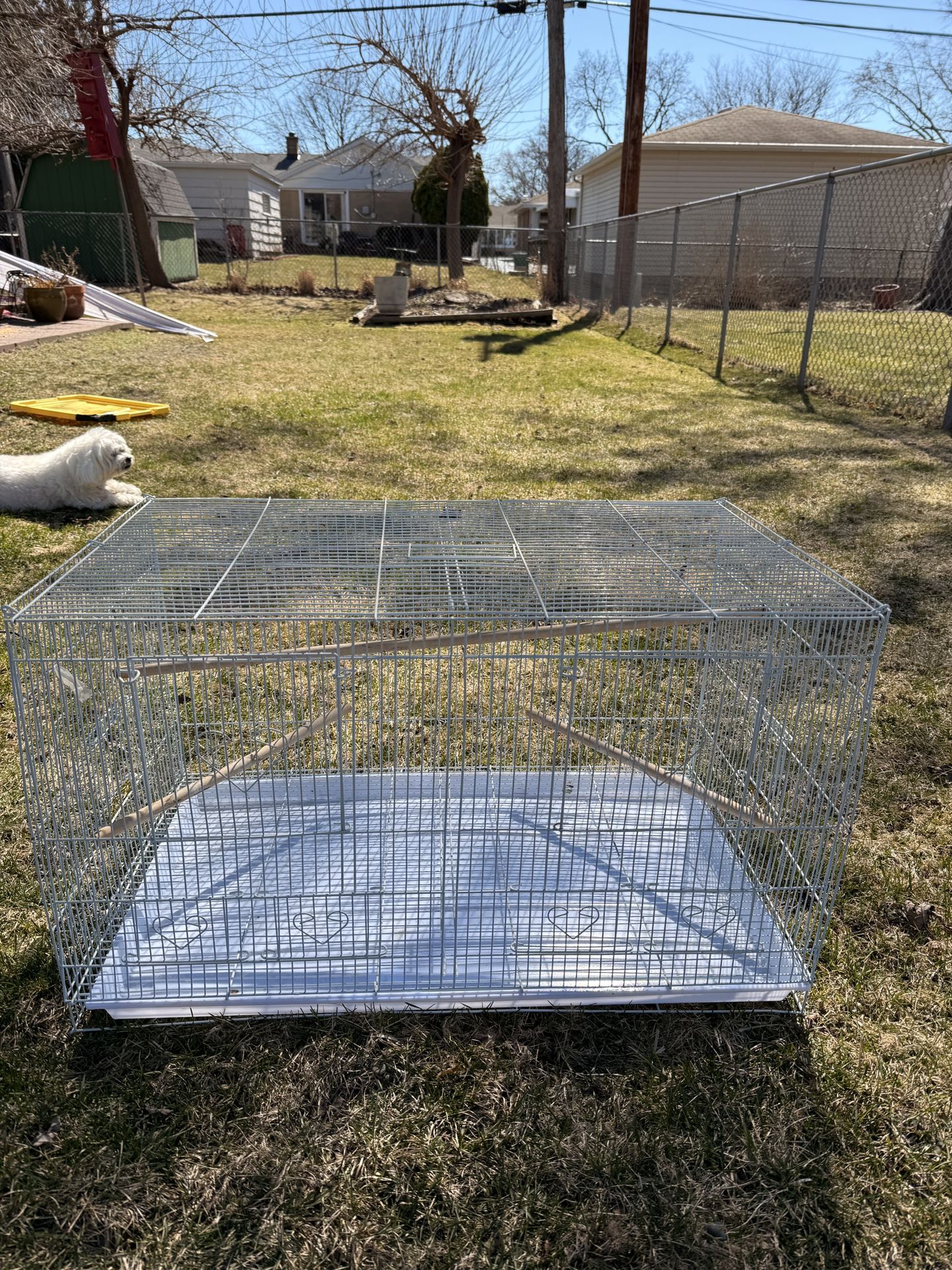 Birds Cage