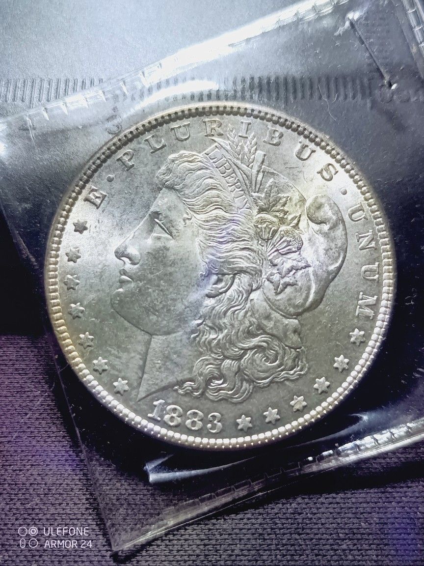 1883 Morgan Dollar