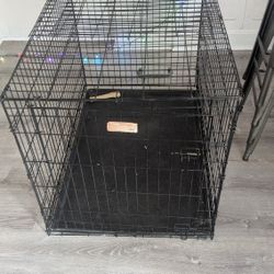 42" Large Dog Crate.  Great Condition.  Just Needs To Be Cleaned