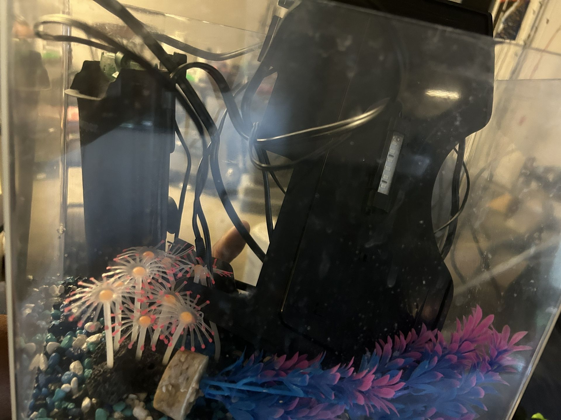 Fish Tank