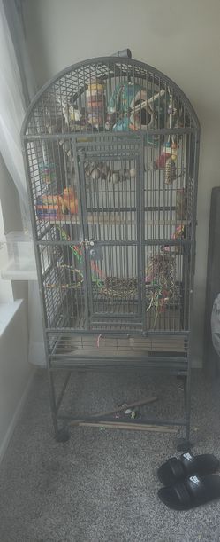 Bird Cage