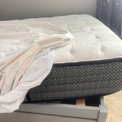 Sally/Twin Mattress 10 inch. 