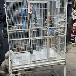 Used Birdcage