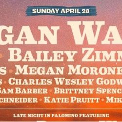 WTB SUNDAY ONLY STAGECOACH WRISTBANDS