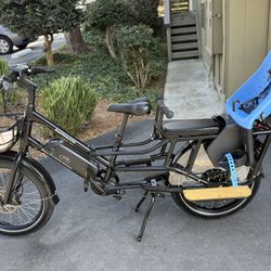 Electric Bike RadWagon 4