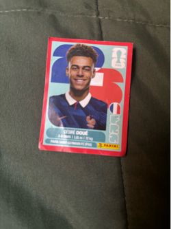 FIFA World Cup Panini stickers