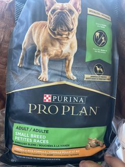 Comida Para Perro 🐕 