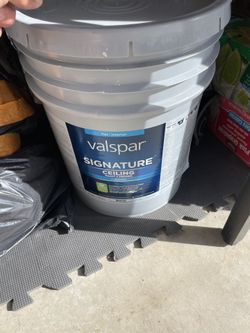 Free Ceiling Paint