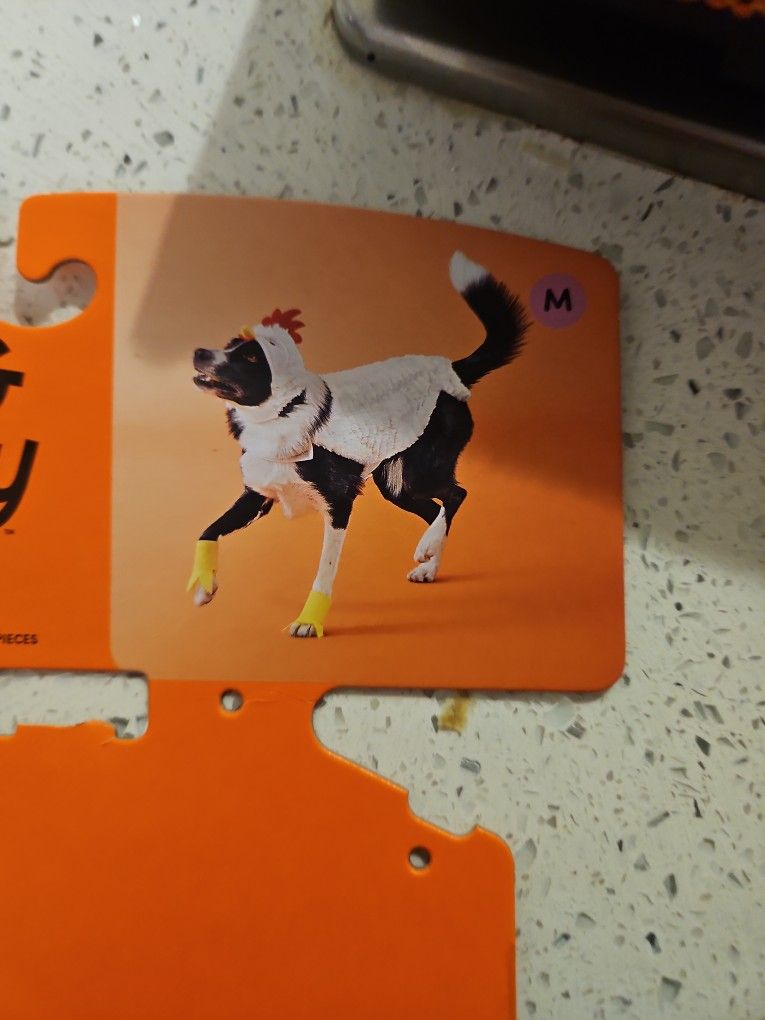 Dog Costume