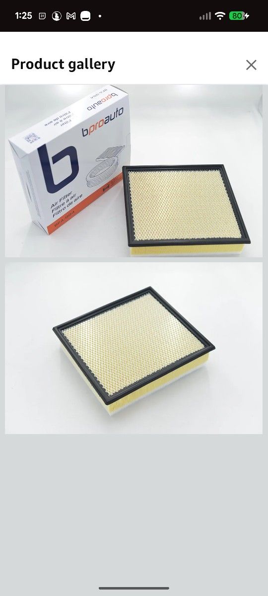 2020 - 2025 F250 Filter