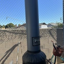 Pro Boxing Punishing Bag 