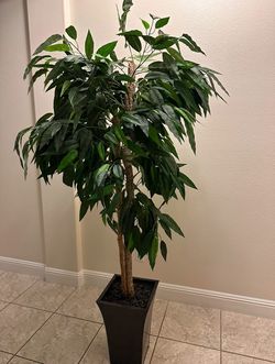 Indoor House Decor Tree