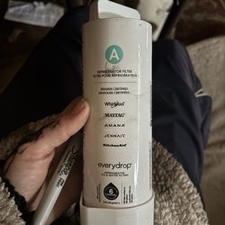 Refrigerator ice and water filter