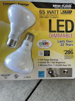 LED Flood Light Bulbs
