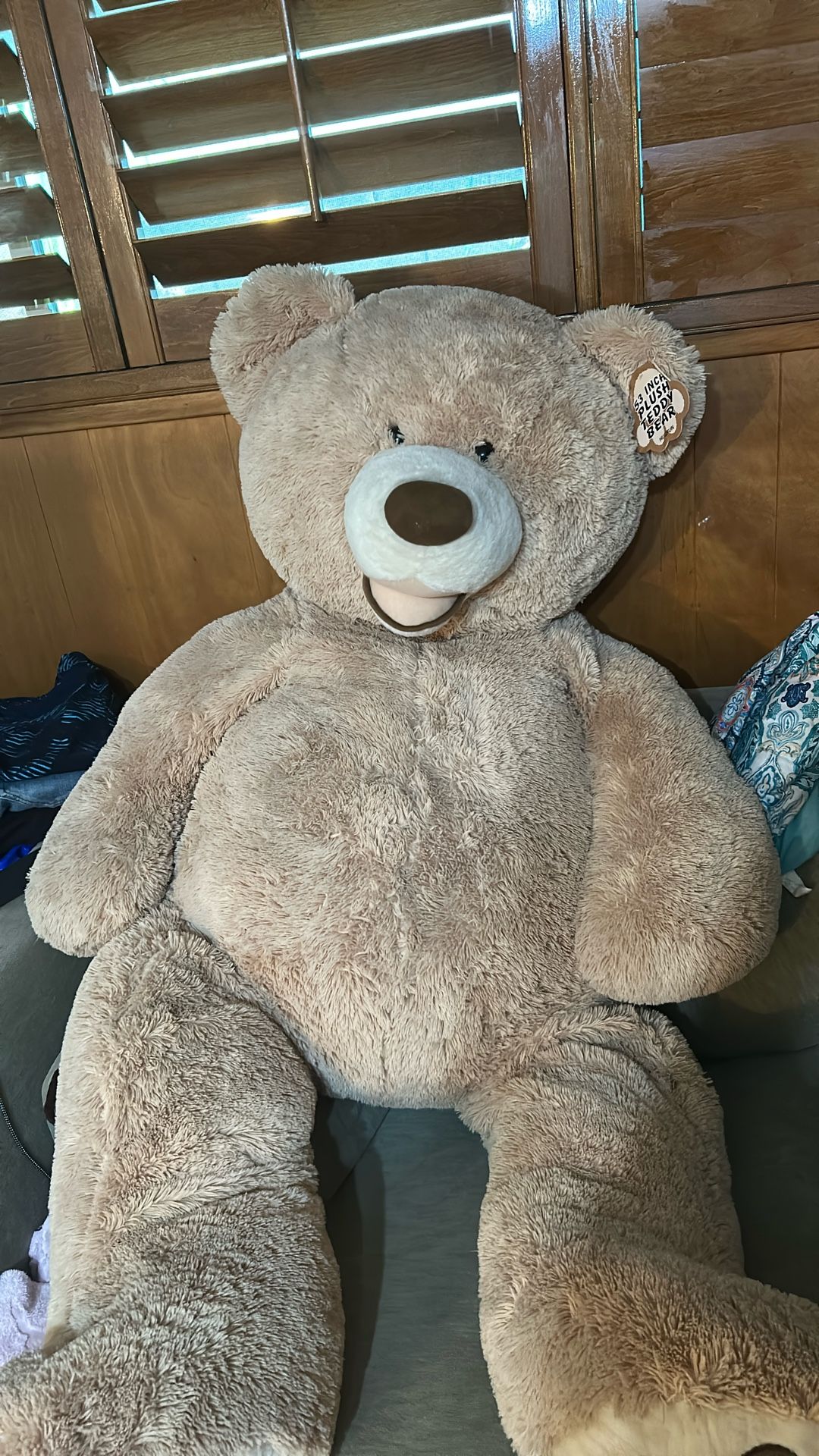 53 itch Plush Teddy Bear