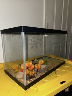 Fish Tank