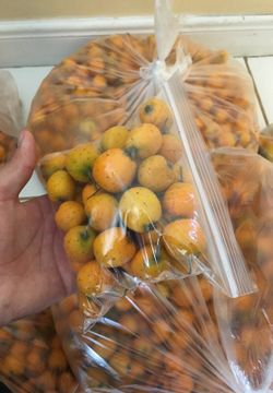 Tejocotes/ manzanillas