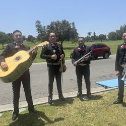 Mariachi Guitarrón 
