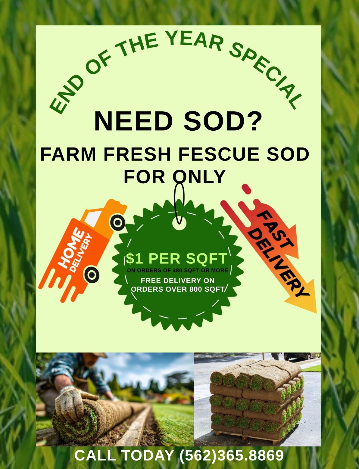 Fescue Sod For Sale