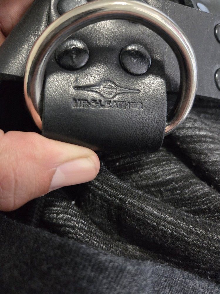 Mr S Leather Harness