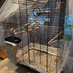 Bird Cage with Contents 