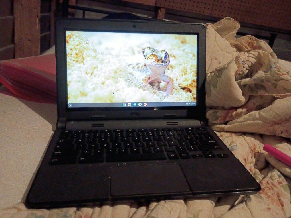 DELL CHROMEBOOK