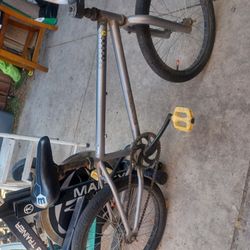 Walmart BMX 