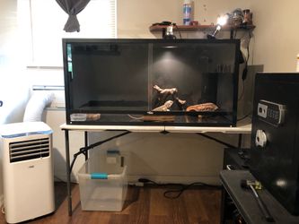 4 x 2 x 2 reptilian habitat  $200 OBO.