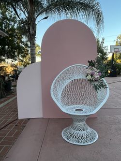 Peacock Chairs And Backdrops 💫